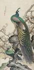 Peacock by 
																	 Wu Bonian